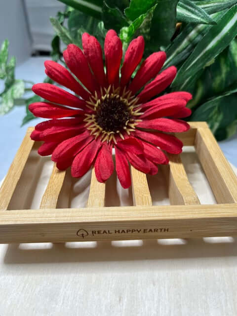 Bamboo Soap Dish