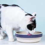 Load image into Gallery viewer, Eco-Friendly Pet Bowl
