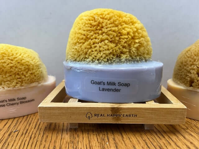 Goat's Milk & Olive Oil Soap with Natural Sea Sponge