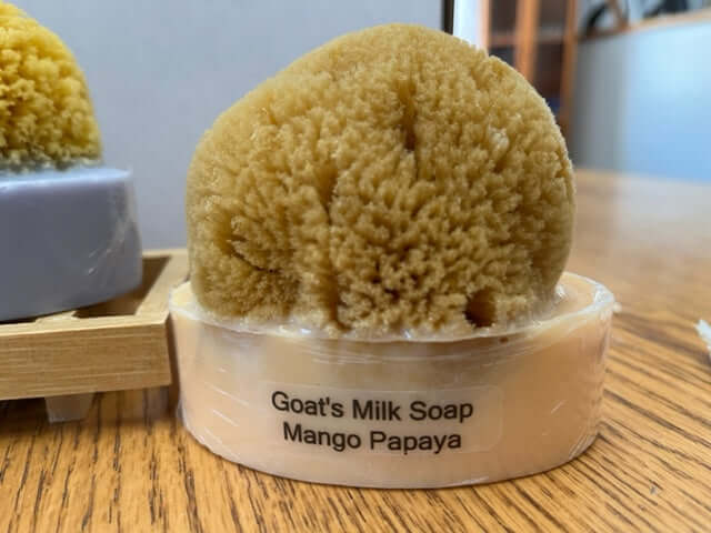 Goat's Milk & Olive Oil Soap with Natural Sea Sponge